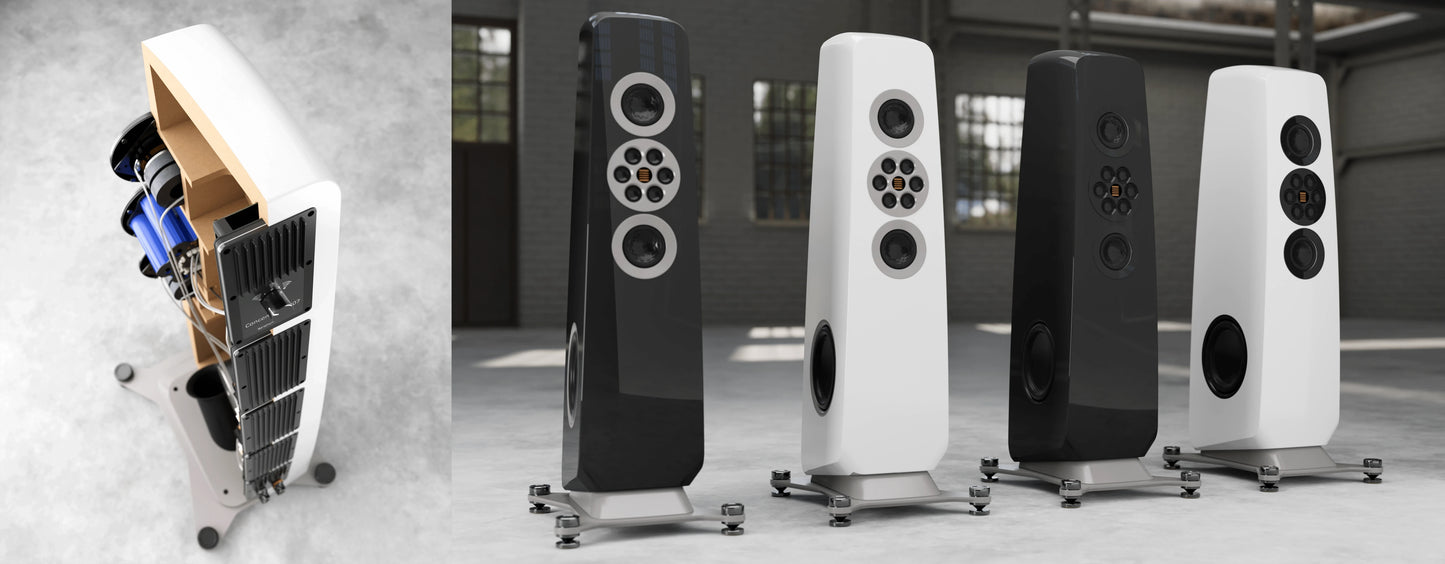 Floorstanding Speakers Elac Concentro M 807