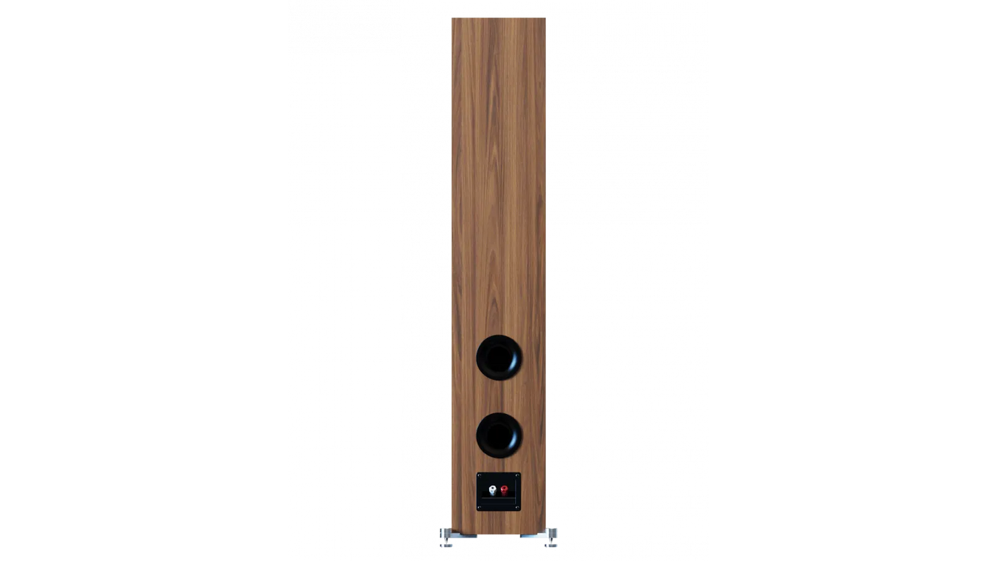 Floorstanding Speakers Elac Debut 3.0 F6.3