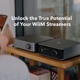 Stereo Amplifier WiiM Vibelink