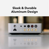 Stereo Amplifier WiiM Vibelink