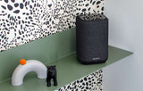 Bluetooth Wi-Fi Speaker Denon Home 150 Wireless Speaker