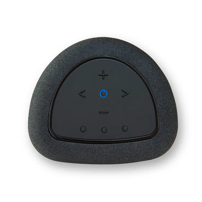 Bluetooth Wi-Fi Speaker Bluesound Pulse Flex P130
