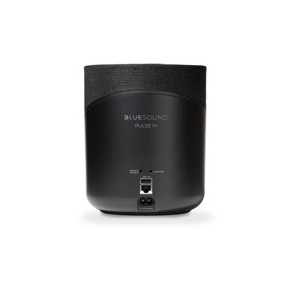 Bluetooth Wi-Fi Speaker Bluesound Pulse M