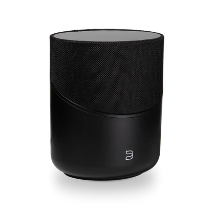 Bluetooth Wi-Fi Speaker Bluesound Pulse M