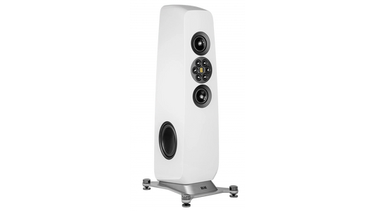 Floorstanding Speakers Elac Concentro M 807