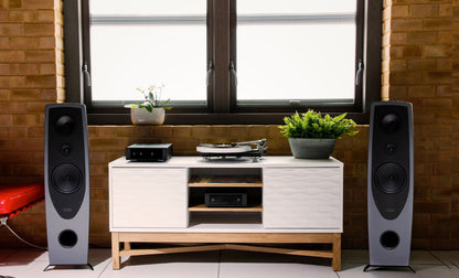 Floorstanding speakers Rega Aya