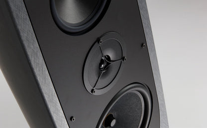Floorstanding speakers Rega Aya