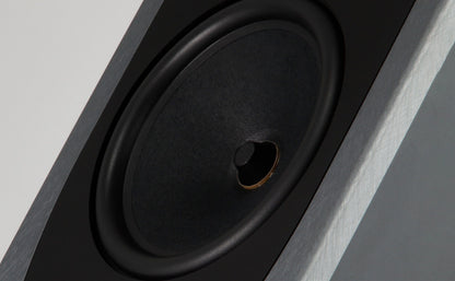 Floorstanding speakers Rega Aya