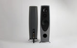 Floorstanding speakers Rega Aya