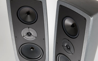 Floorstanding speakers Rega Aya