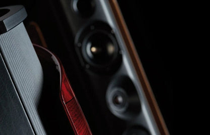 Floorstanding Speakers Sonus faber Aida