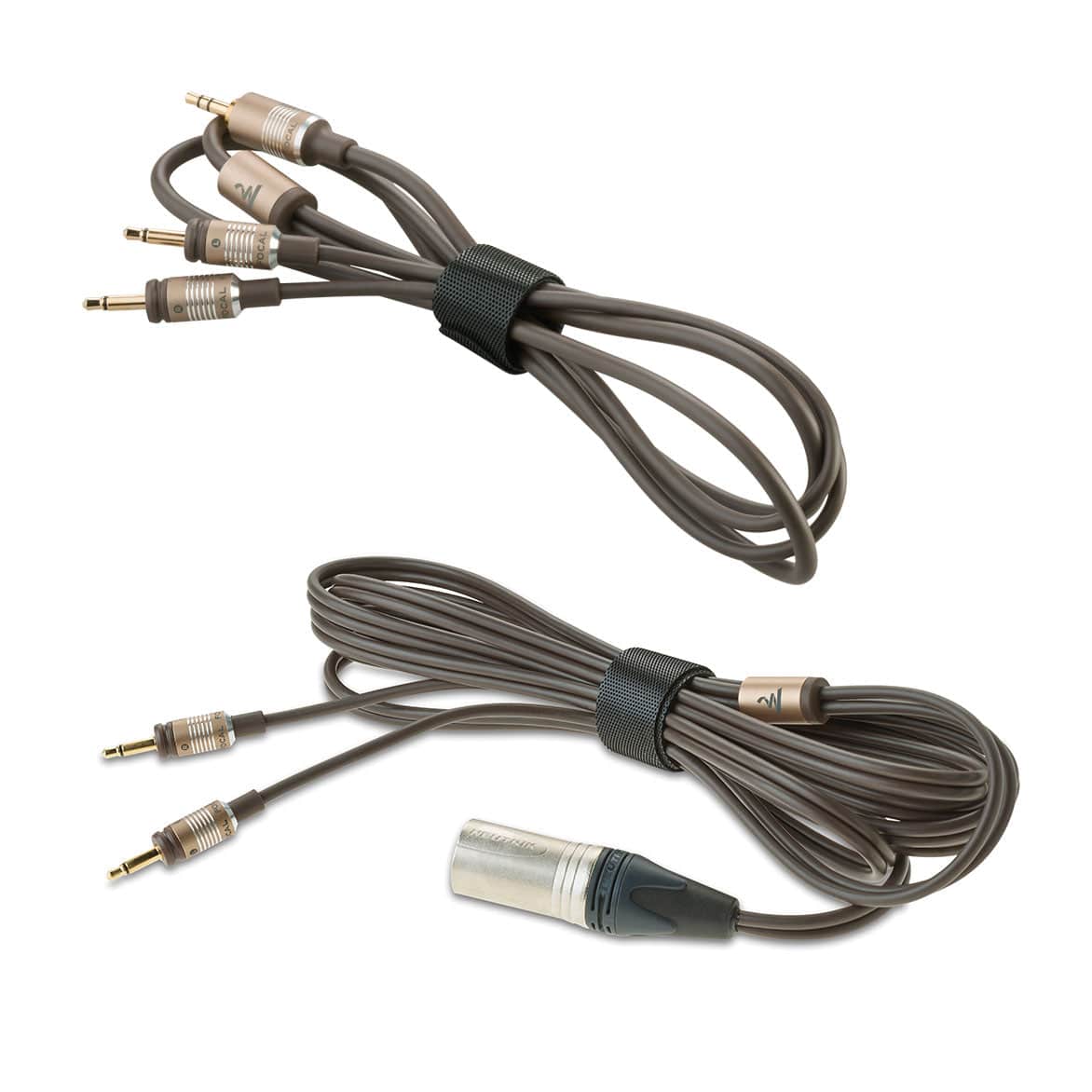 Headphones Focal Clear MG