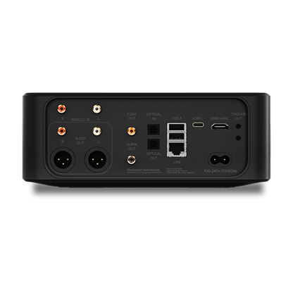 Network Streamer Bluesound NODE ICON