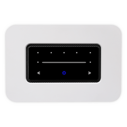 Network Streamer Bluesound NODE (N132)