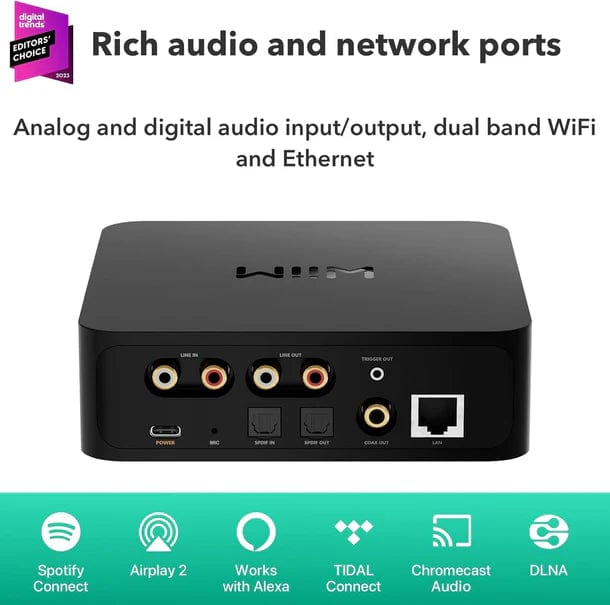 Network Streamer WiiM Pro
