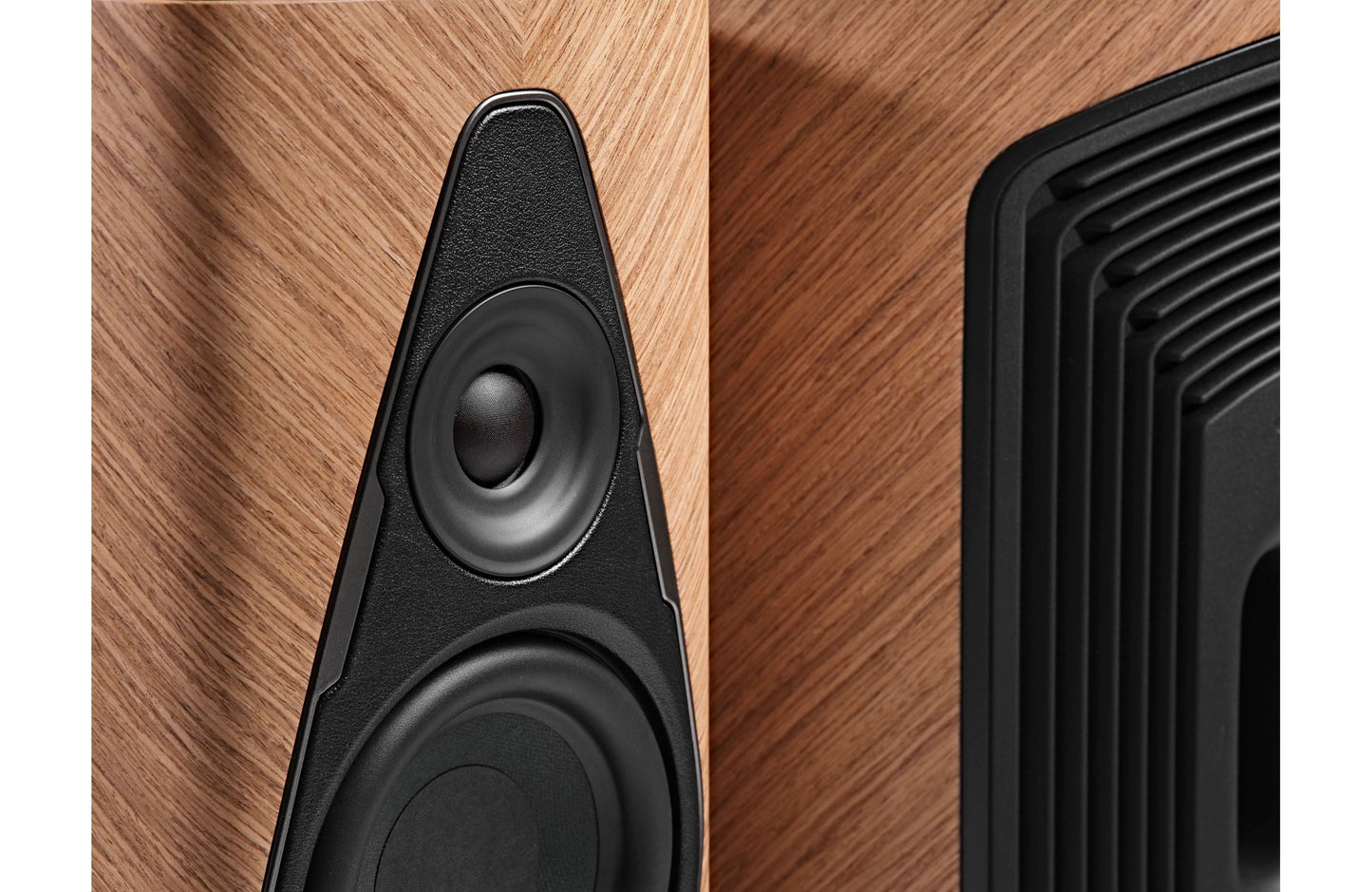 Powered Speaker Sonus faber Duetto