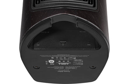 Powered Speaker Sonus faber Duetto