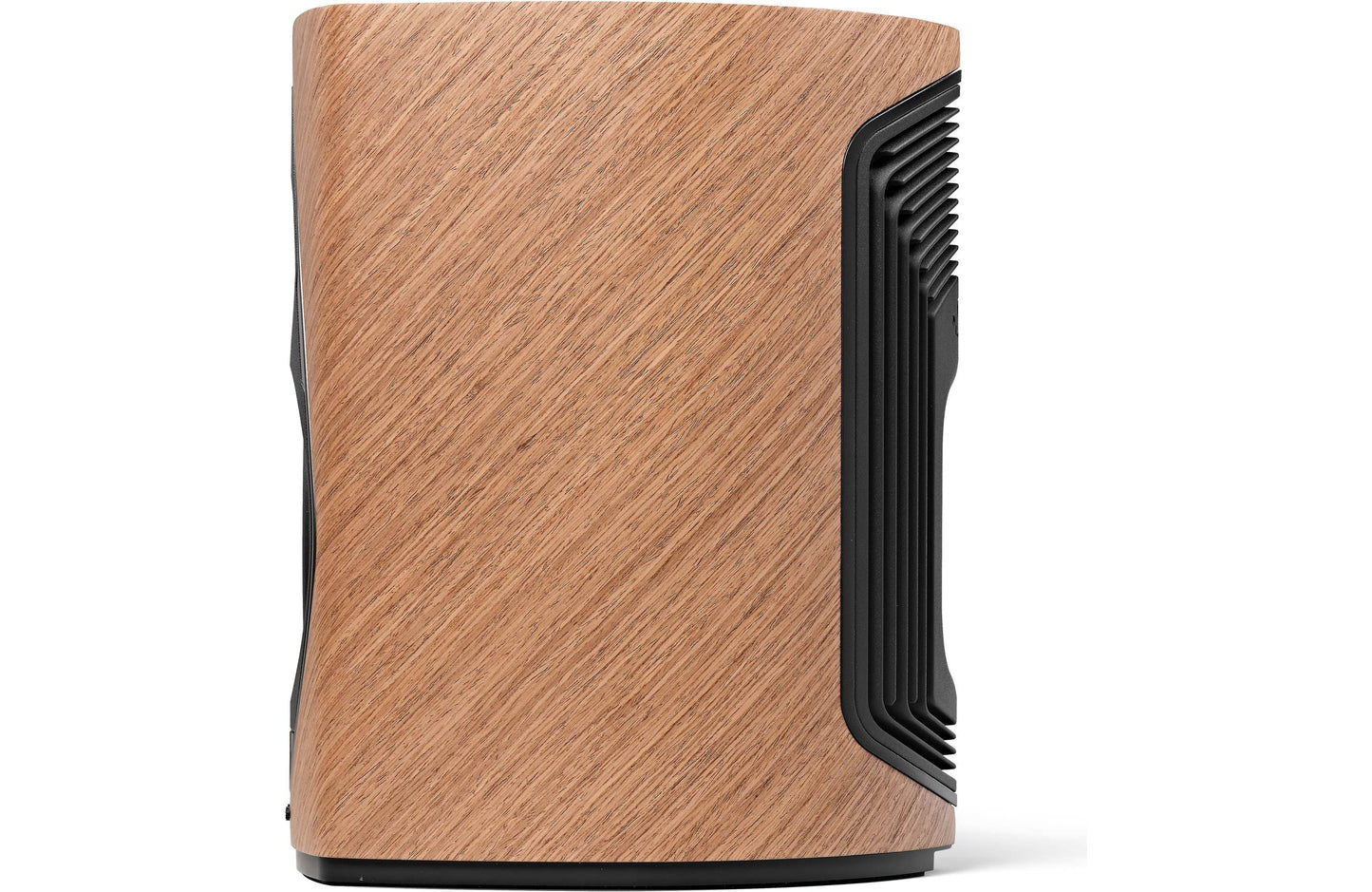 Powered Speaker Sonus faber Duetto