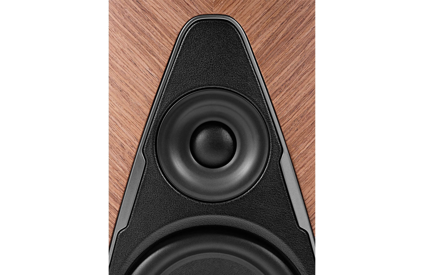Powered Speaker Sonus faber Duetto