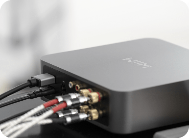 Stereo Amplifier WiiM Amp