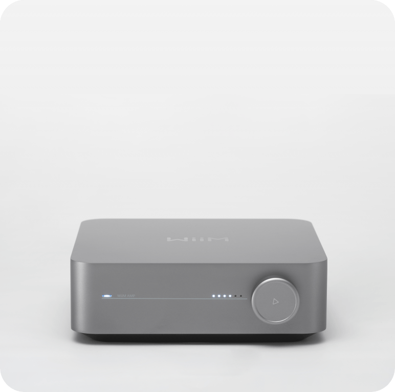 Stereo Amplifier WiiM Amp