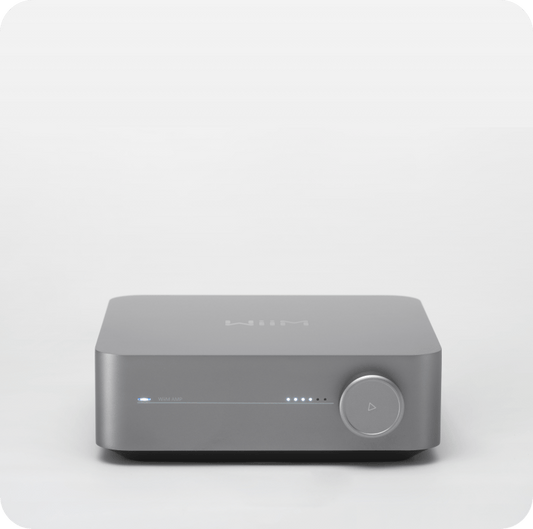 Stereo Amplifier WiiM Amp