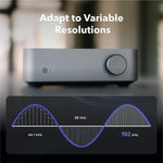Stereo Amplifier WiiM Vibelink