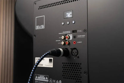 Subwoofer SVS SB3000 Revolution