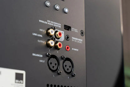 Subwoofer SVS SB3000 Revolution