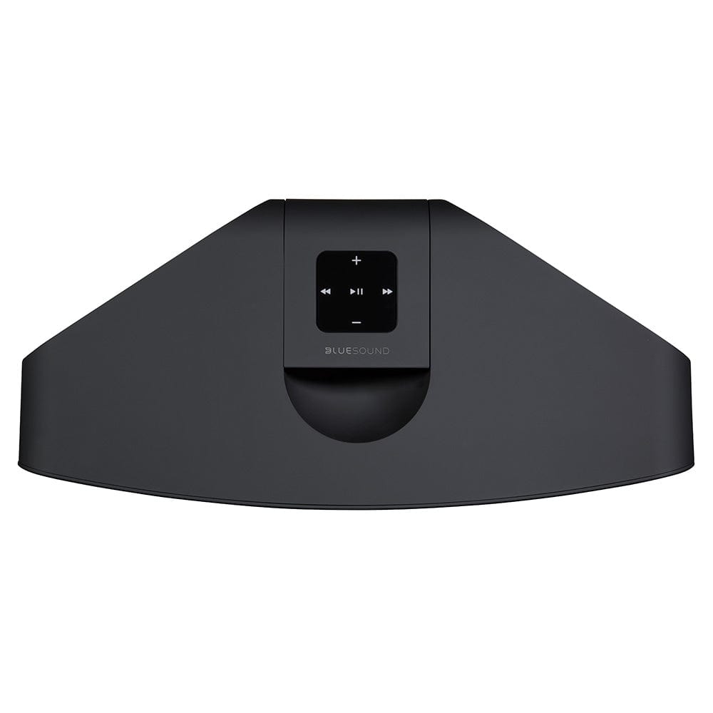 Bluetooth Wi-Fi Speaker Bluesound Pulse 2i