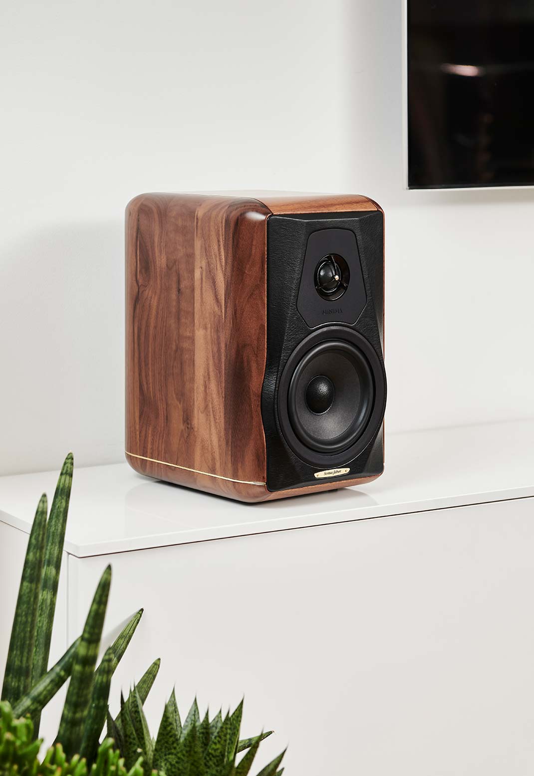 Bookshelf Speakers Sonus faber Minima Amator II
