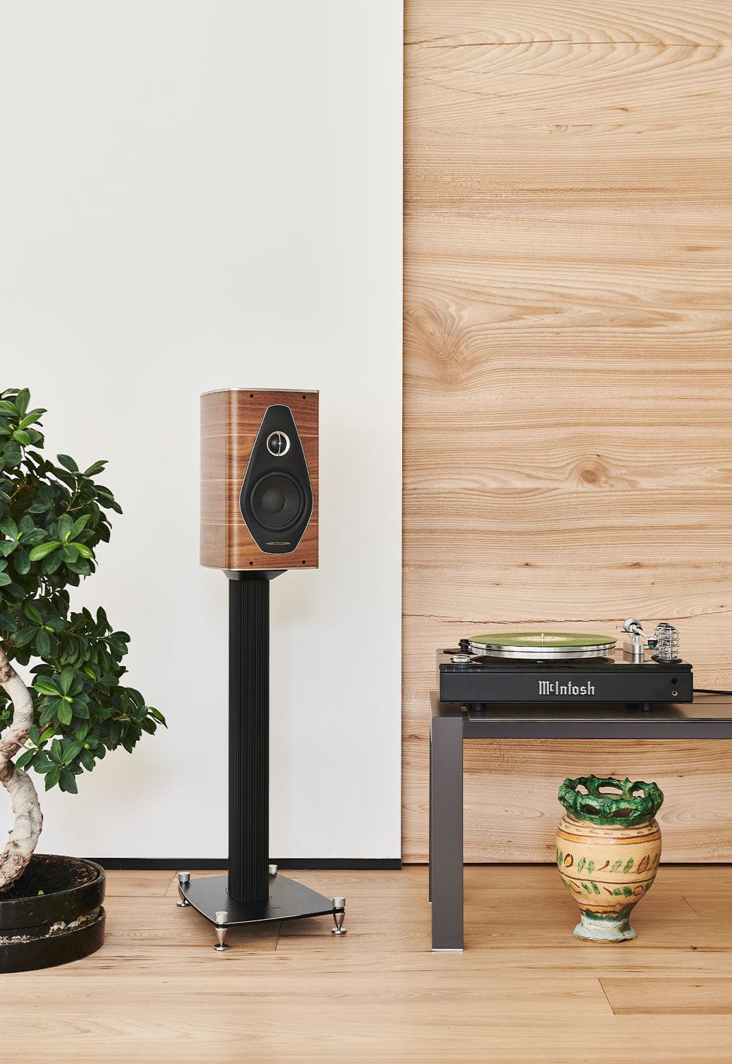 Bookshelf Speakers Sonus faber Olympica Nova I