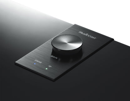 Subwoofer Yamaha MusicCast SUB 100 Wireless Subwoofer